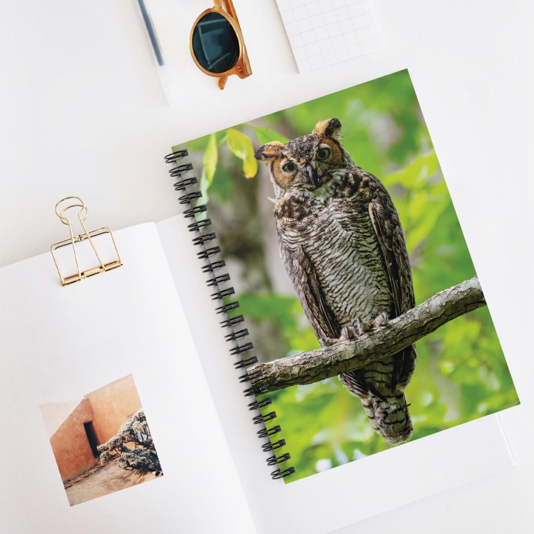 Bird Draw Notebook Owl Spiral Notebook Nature Inspired Journal Wildlife Lover Sketchbook ...
