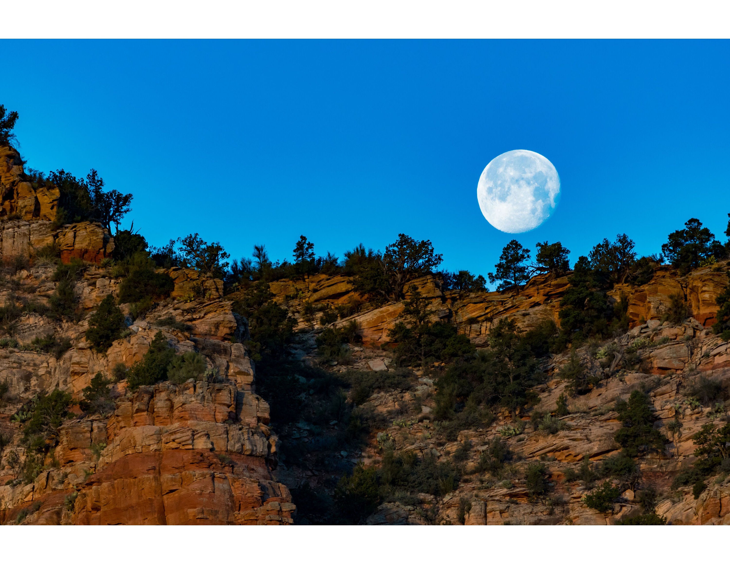 Amazon.com: B2T Canvas Print Wall Art Full Moon in Clouds