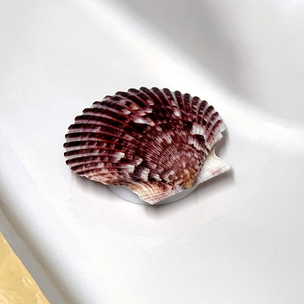 Toilet Bolt Caps Etsy