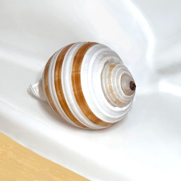 Toilet Bolt Caps Etsy