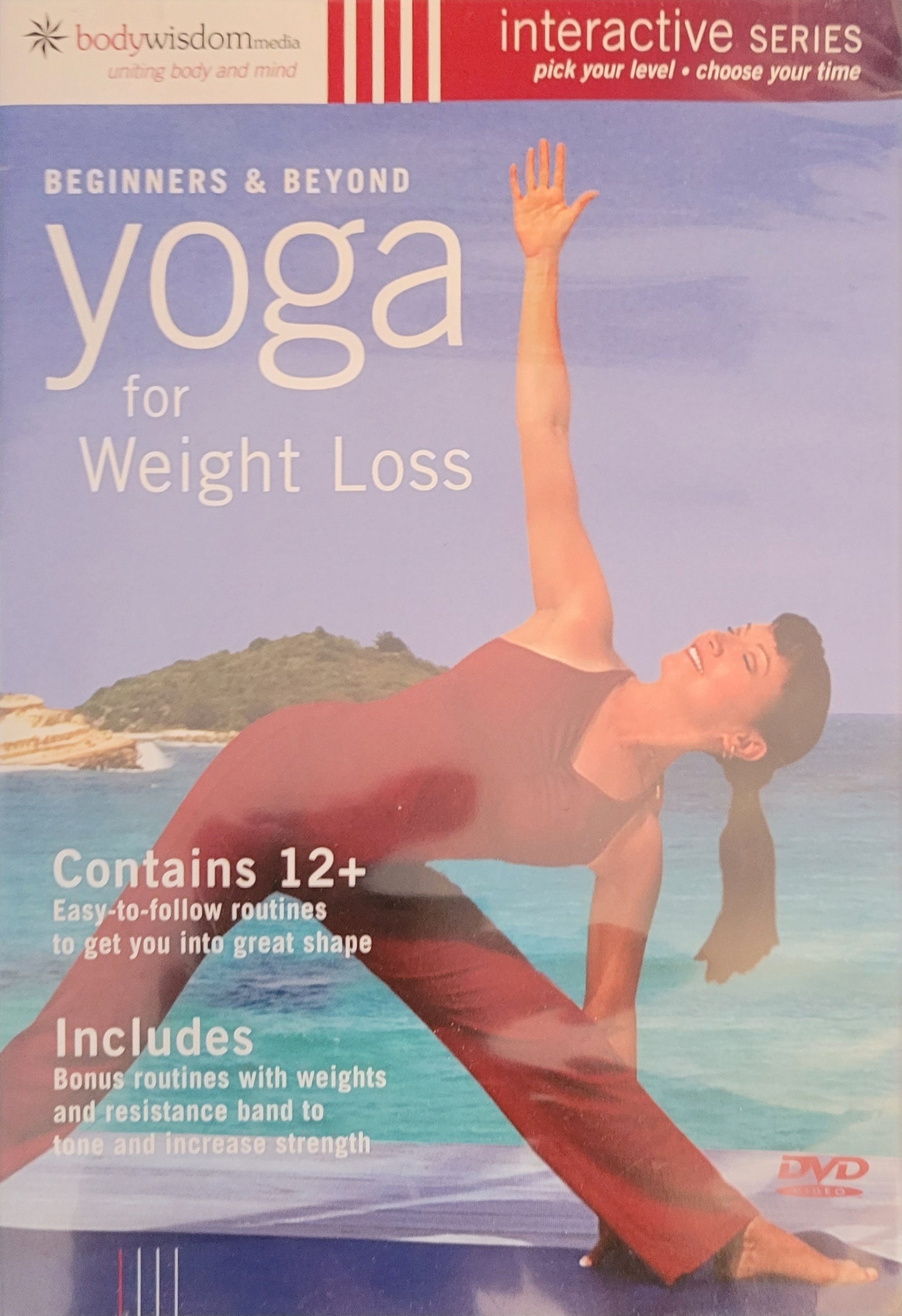 Yoga for Beginners and Yoga for Weight Loss lot Of 2 Bodywisdom
