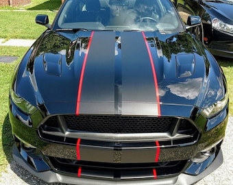 Ford mustang Shelby Racing Stripes: Vinyl Aufkleber