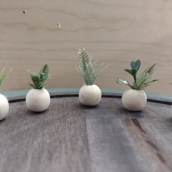 Miniature Plants - Etsy