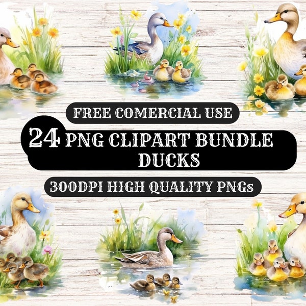 Clipart Bundle, 24, PNG High Quality Clipart, Watercolor Ducks, Digital Download Clipart, Card Making, Paper Craft, Mixed Media, Mother Duck