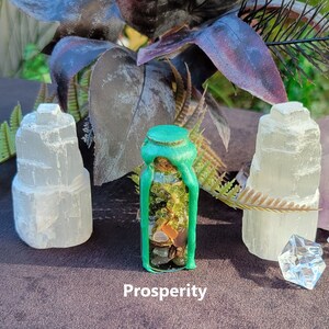 May include: A small glass bottle filled with colorful stones and sealed with green wax. The word "Prosperity" is printed at the bottom. Two white selenite towers and a clear crystal are on either side of the bottle, with dark purple leaves in the background.