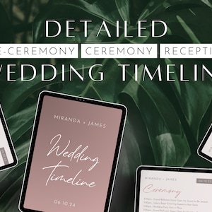 Digital Wedding Party Timeline,  Wedding Day Timeline Template, Day of Wedding Organization, Dusty Rose, Type A Wedding Binder, Itinerary