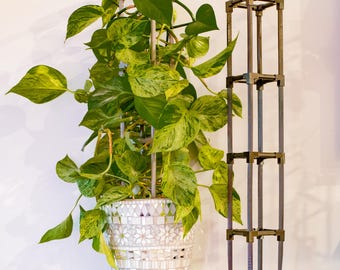 Leafy Links plant pole, trellis, scaffold, support system for healthier, stronger, more attractive house plants.