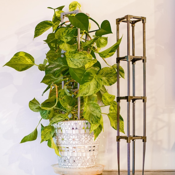 10l pflanztopf 2er Blumentopf Gro 28x28 cm, 10 Liter, mit Untersetzer Terracotta