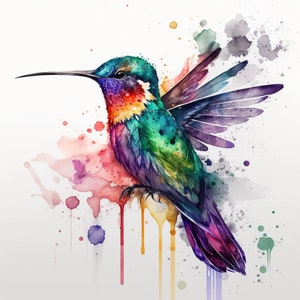 Kolibri Aquarell Regenbogen Design für Becher Sublimation, T-Shirt Design, Wandkunst - PNG, SVG Datei