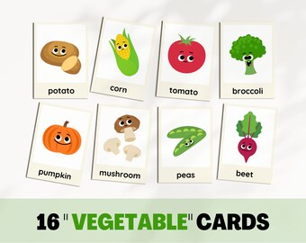 Afdrukbare Flash Card voor kinderen Montessori-materialen Preschool Curriculum Montessori-kaarten Nomenclatuurkaart 3 deelkaart Homeschool-bronnen