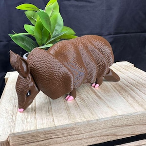 May include: A brown armadillo figurine with a textured shell and pink feet. The ears are upright, and the eyes are small and black. The figurine is displayed on a wooden surface, with a green plant in the background.