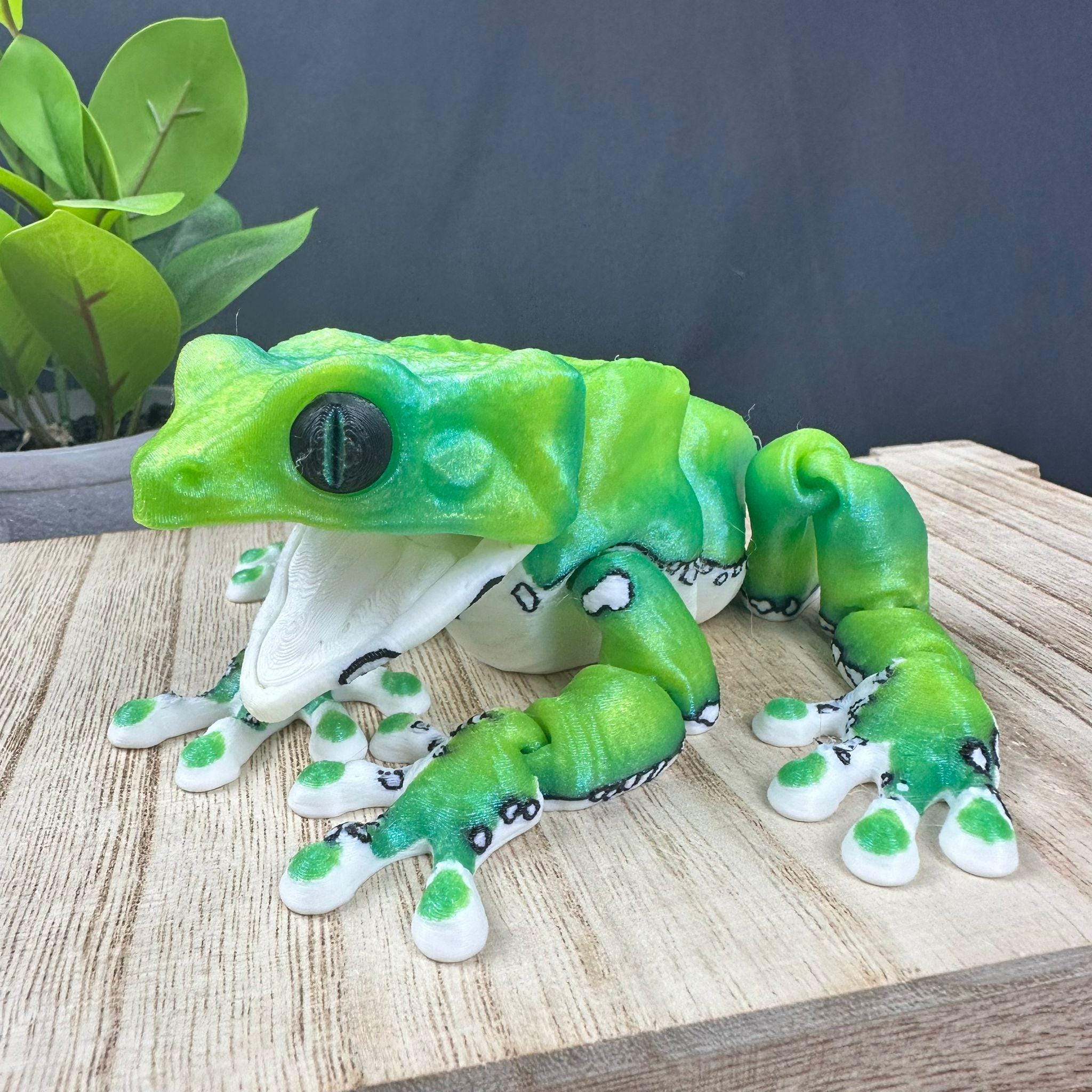 3D Printed Articulating Waxy Monkey Tree Frog - Realistic Animal