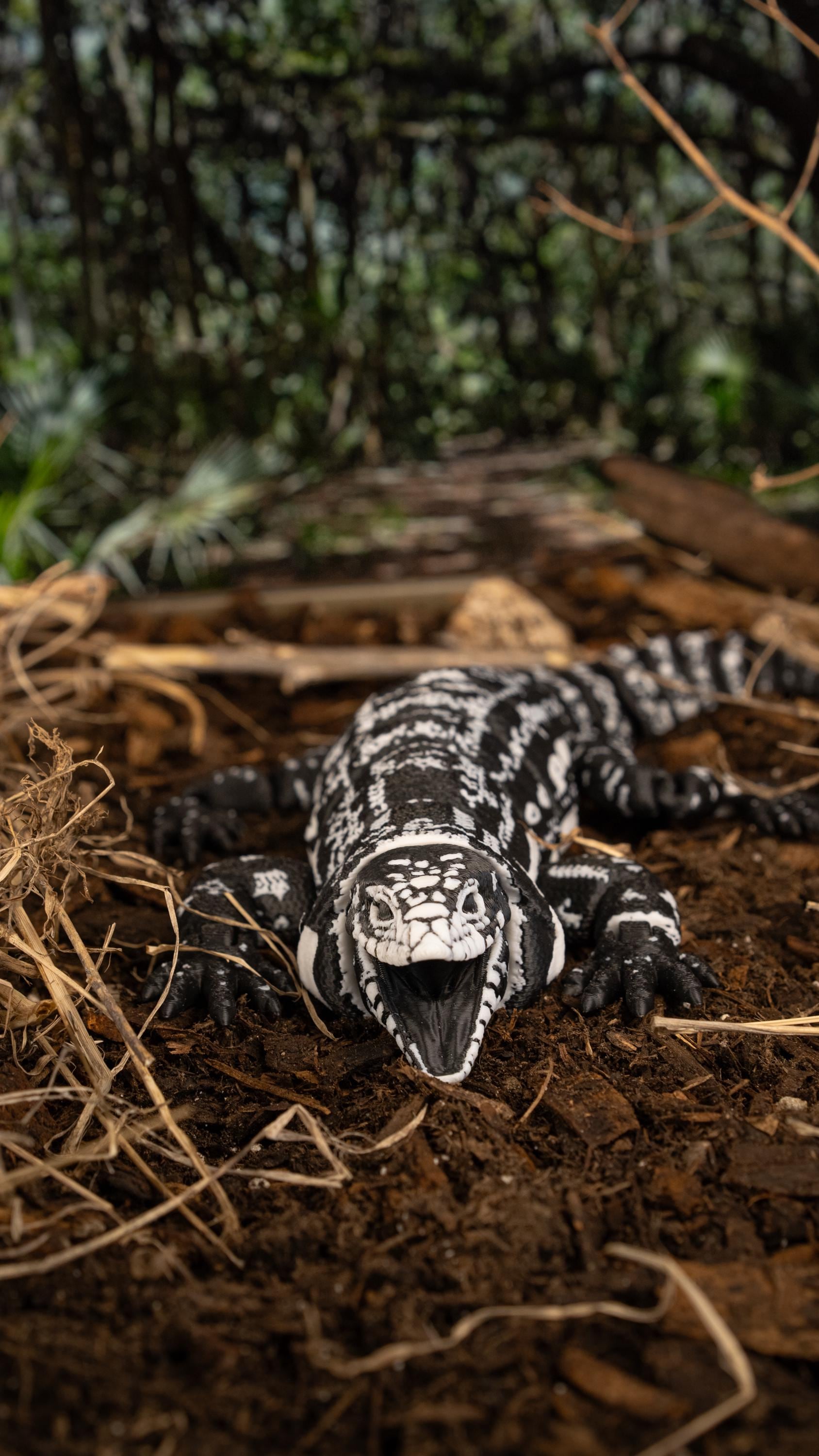 tegu 3D Printed Articulating Tegu Lizard - Realistic Reptile Decor