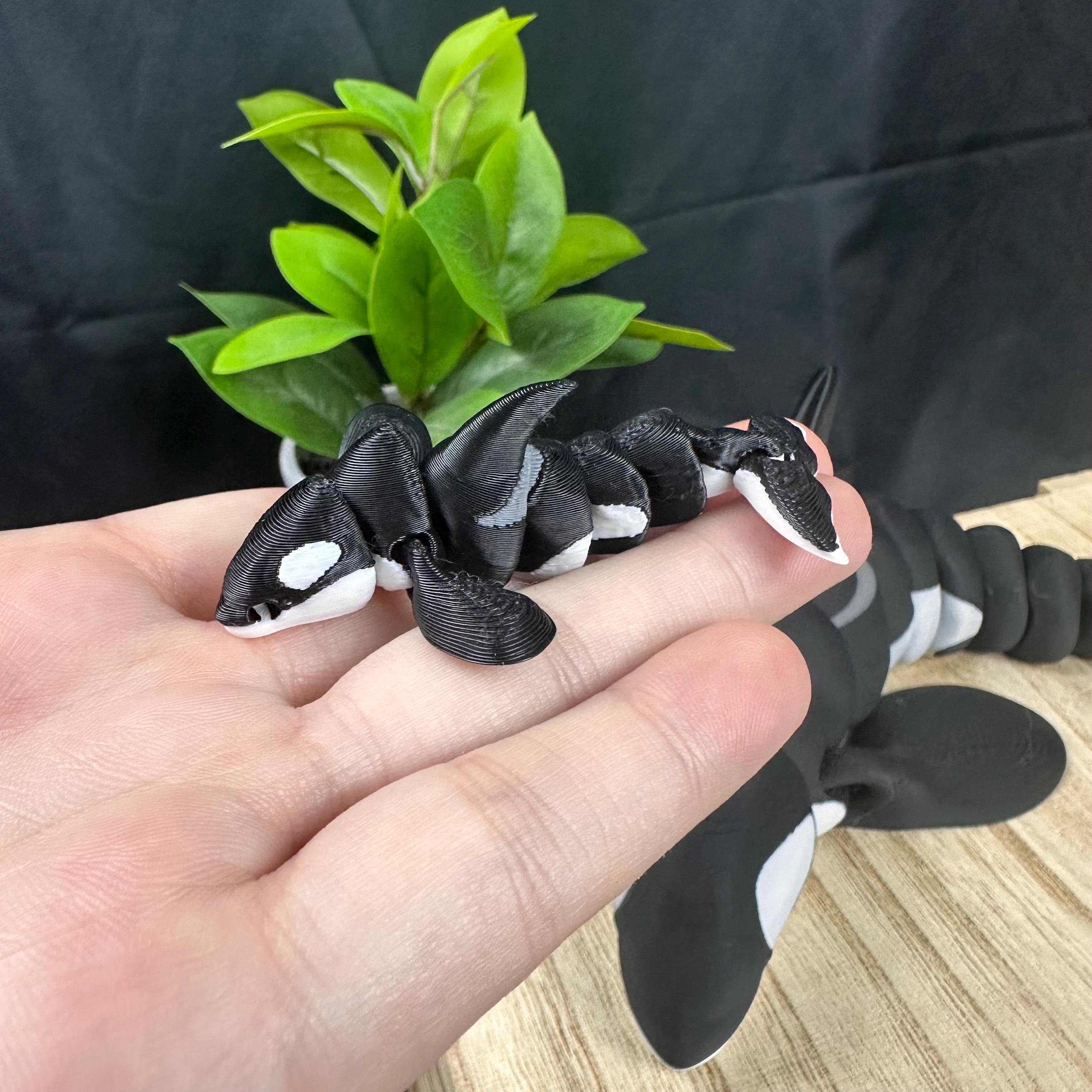 3D Printed Articulating Orca - Flexi Killer Whale - Large +