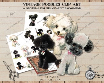 May include: A digital clip art set of 16 vintage poodle illustrations. The images feature black and white poodles in various poses, including sitting, standing, and running. The images are on a transparent background and are perfect for crafting projects, scrapbooking, and digital design.