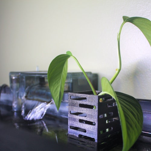 Aquarium House Plant Net Pot Holders Adjustable Height Etsy