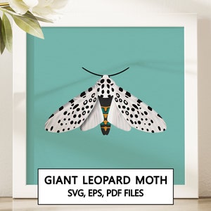 Puede incluir: Una ilustración digital de una polilla gigante leopardo con alas blancas con manchas negras y un cuerpo verde, naranja y amarillo. La polilla está sobre un fondo azul verdoso con el texto "GIANT LEOPARD MOTH" y "SVG, EPS, PDF FILES" debajo de la polilla.