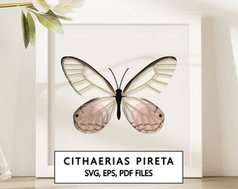 Cithaerias Pireta Butterfly Shadowbox SVG Cricut Project - téléchargement numérique instantané