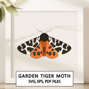 May include: A digital illustration of a garden tiger moth with black, white, and orange wings. The text "GARDEN TIGER MOTH" and "SVG, EPS, PDF FILES" is below the moth.