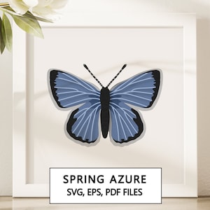 Printemps azur papillon Shadowbox SVG Cricut Project - téléchargement numérique instantané