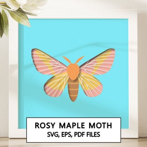 Puede incluir: Una ilustración digital de una polilla de arce rosada con alas rosadas y amarillas sobre un fondo azul claro. La imagen incluye el texto "ROSY MAPLE MOTH" y "SVG, EPS, PDF FILES".