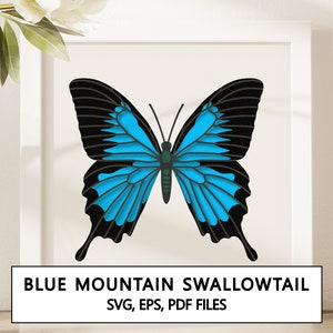 Blue Mountain Swallowtail Butterfly Shadowbox SVG Cricut Project - Download digitale istantaneo