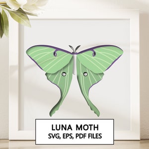 Luna Moth Shadowbox SVG Projekt Cricut - Natychmiastowe pobranie cyfrowe