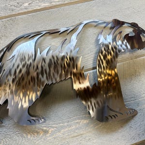 Alaska Coastal Brown Bear