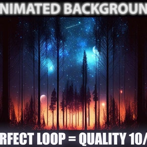 Starry Night woods | ANIMATED VIRTUAL BACKGROUND | Vtuber Twitch Streamer | Youtube Zoom loop Background | Cozy Safe Relaxing Forest