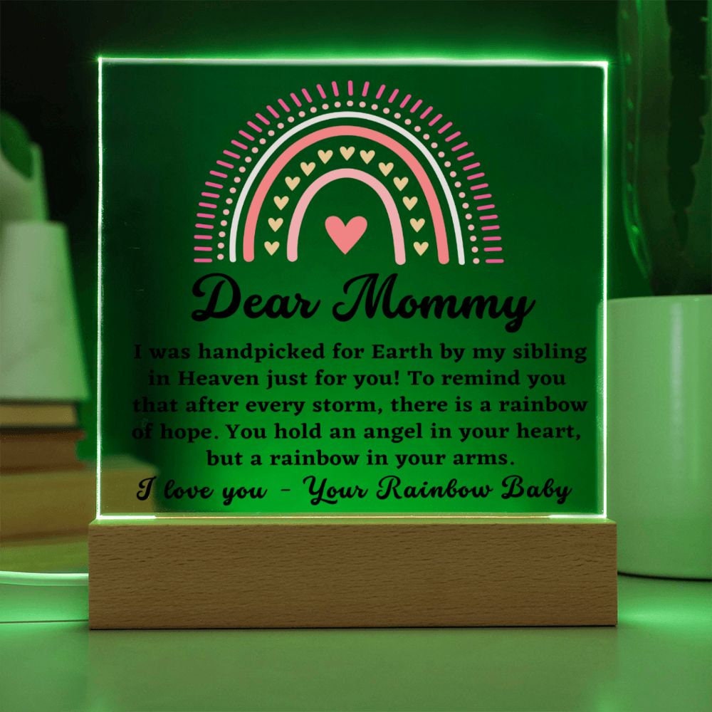 Rainbow Baby Gift I Rainbow Baby Shower Gift Acrylic Plaque I Expecting