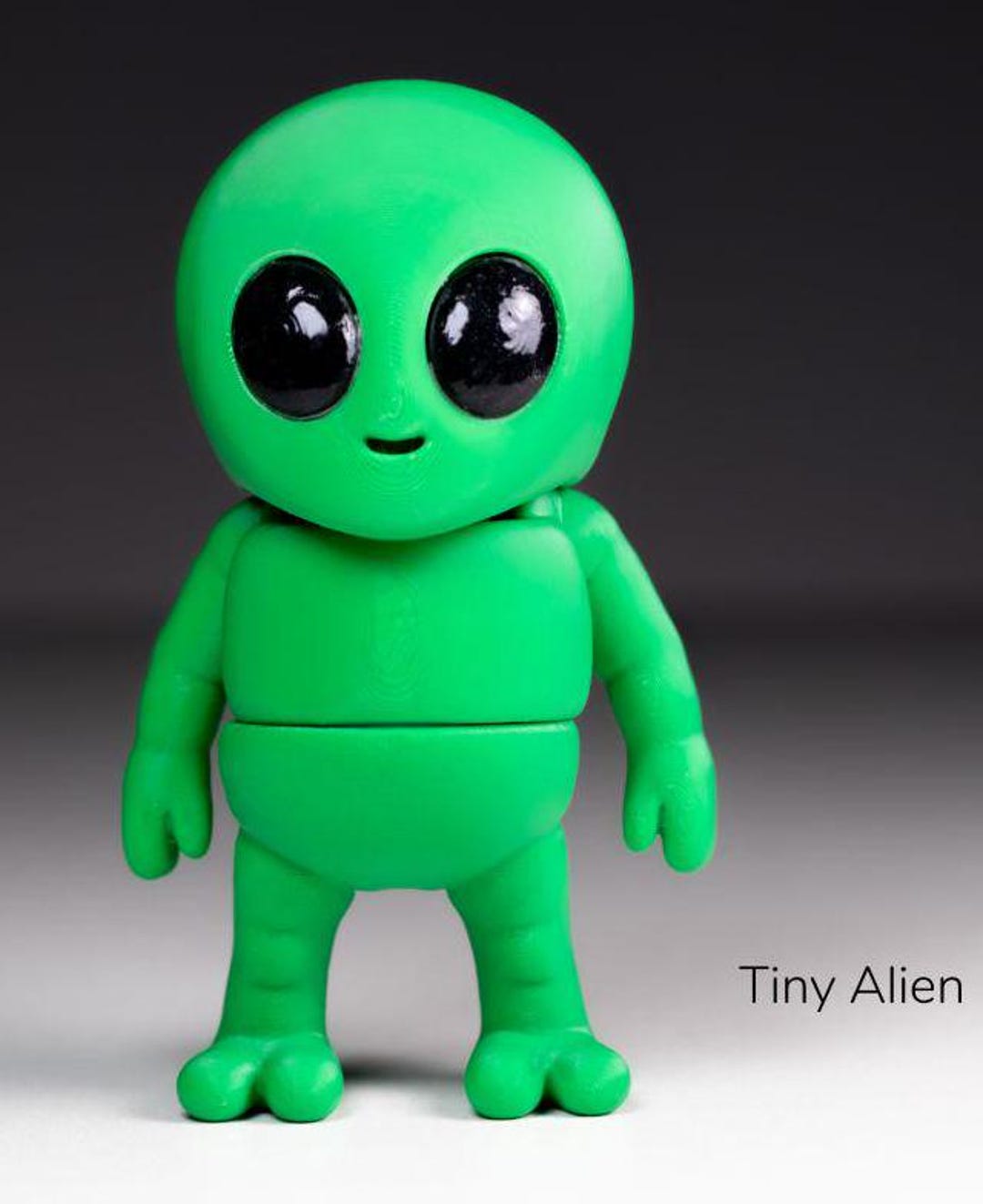 Tiny Aliens Pocket Pets | 3D Printed | Articulating Fidget Sensory Baby ...
