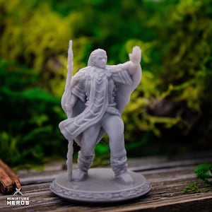 Druid Human Male