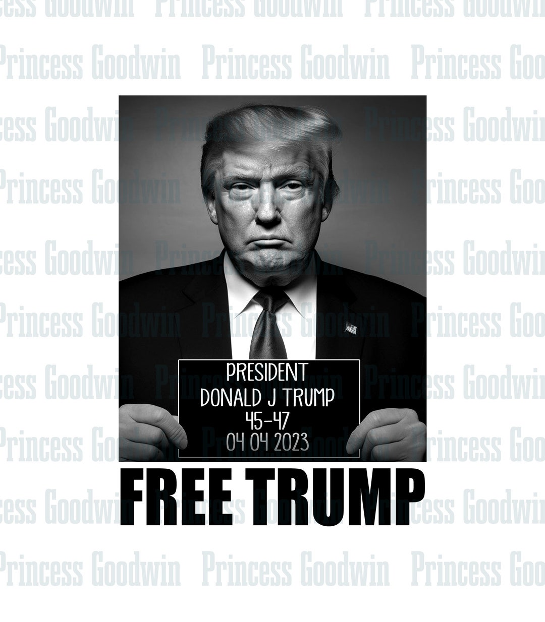 Free Trump Png Not Guilty Png Take America Back Png 45 47 Etsy