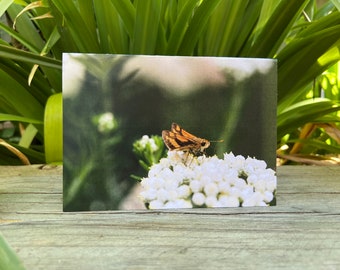 Butterfly Greeting Card (Digital Download, Useable Art)