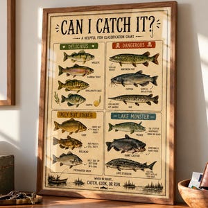 May include: A framed poster titled CAN I CATCH IT? A HELPFUL FISH CLASSIFICATION CHART. The chart categorizes fish into four sections: DELICIOUS, DANGEROUS, UGLY BUT EDIBLE, and LAKE MONSTER, featuring detailed illustrations of various fish species.