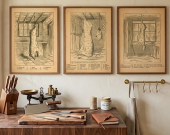 Láminas con diagramas de carnicería antiguos: cortes de carne de res, cerdo y vacuno (descarga digital)
