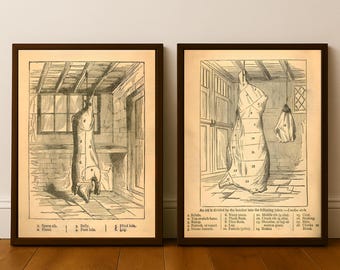 Vintage Butcher's Guide Poster Set, Ox & Pork Cuts Chart, Animal Anatomy Print | Digital Download)