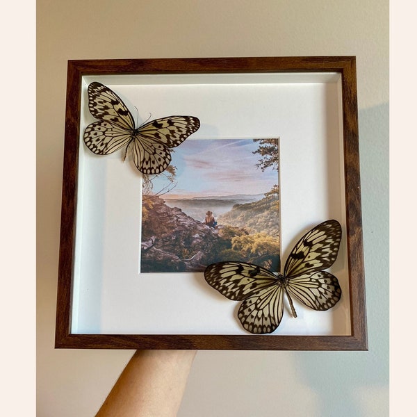 Paper Kite Butterfly Etsy