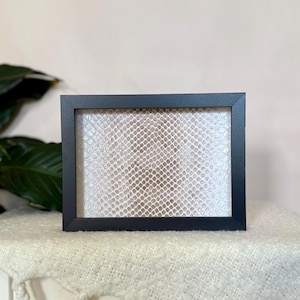 May include: A rectangular black frame with a snakeskin pattern inside. The frame is on a white surface. The snakeskin pattern is a light beige colour with a white pattern.