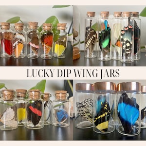 May include: A collection of glass jars containing butterfly wings. The jars have cork tops and are arranged in two rows. The top row features jars with copper lids, while the bottom row has jars with cork tops. The jars are labelled "Lucky Dip Wing Jars".
