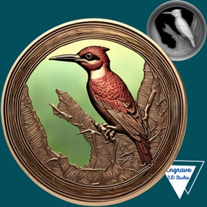 Mapa de profundidad de moneda de pájaro / Mapa de altura / Grabado láser 3D / Xtool / PNG / Lightburn / CNC / Escala de grises / Glowforge / Ilusión 3D / CNC / Pájaro carpintero