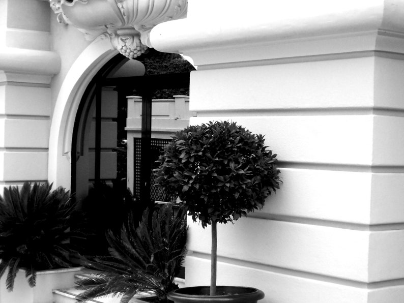 Fashion Wall Art Black and White Luxury Print Vintage Etsy