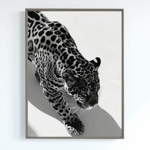 Black and White Leopard Print, Cheetah Poster, Vintage Photography, Hypebeast Wall Art, Digital Download