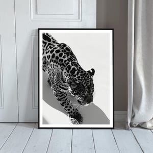 Black and White Leopard Print, Cheetah Poster, Vintage Photography, Hypebeast Wall Art, Digital Download