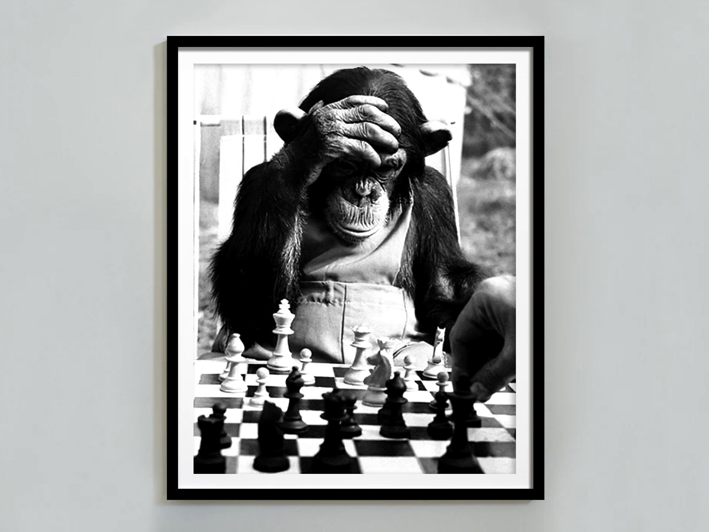 VINTAGE CHESS POSTER Game of Kings Quote Poster Black and -  Australia