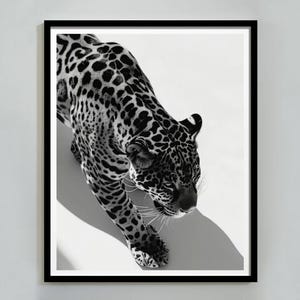 Black and White Leopard Print, Cheetah Poster, Vintage Photography, Fashion Print, Printable Wall Art, Y2k Room Wall Decor, Digital Download