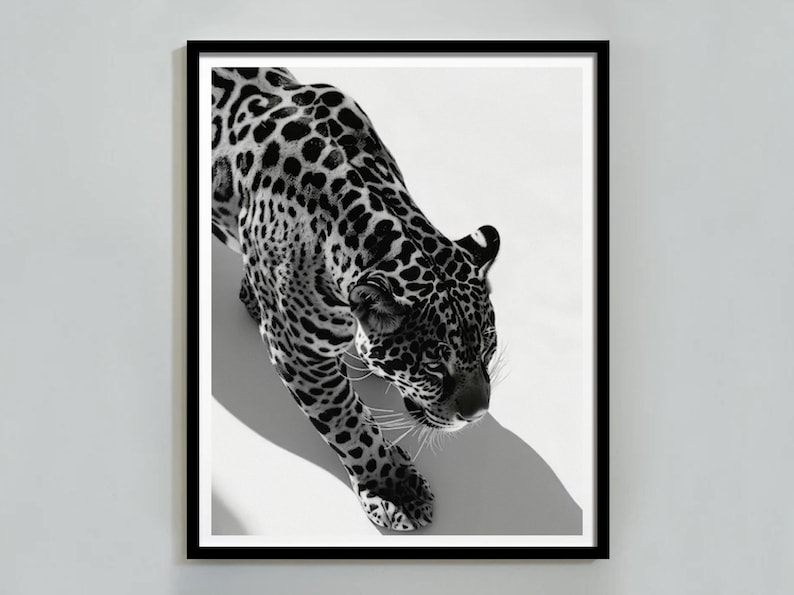 Black and White Leopard Print, Cheetah Poster, Vintage Photography, Hypebeast Wall Art, Digital Download