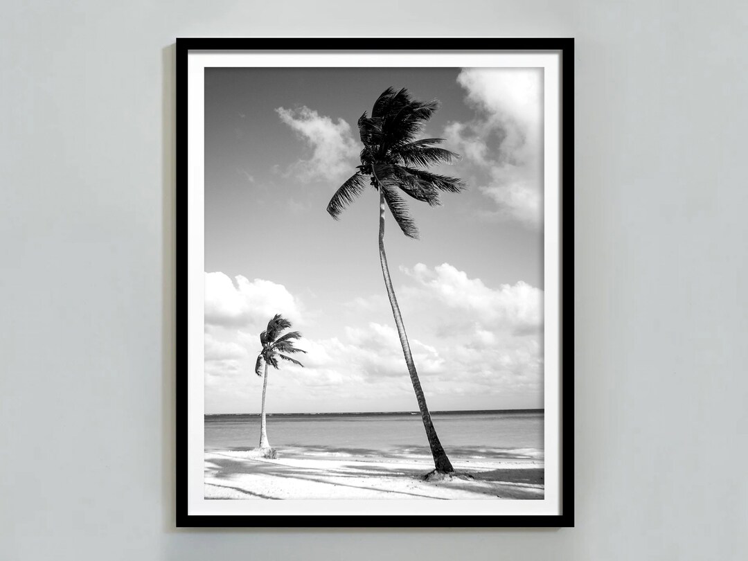 Palm Tree Print: Black and White Coastal Beach Wall Art (digital ...