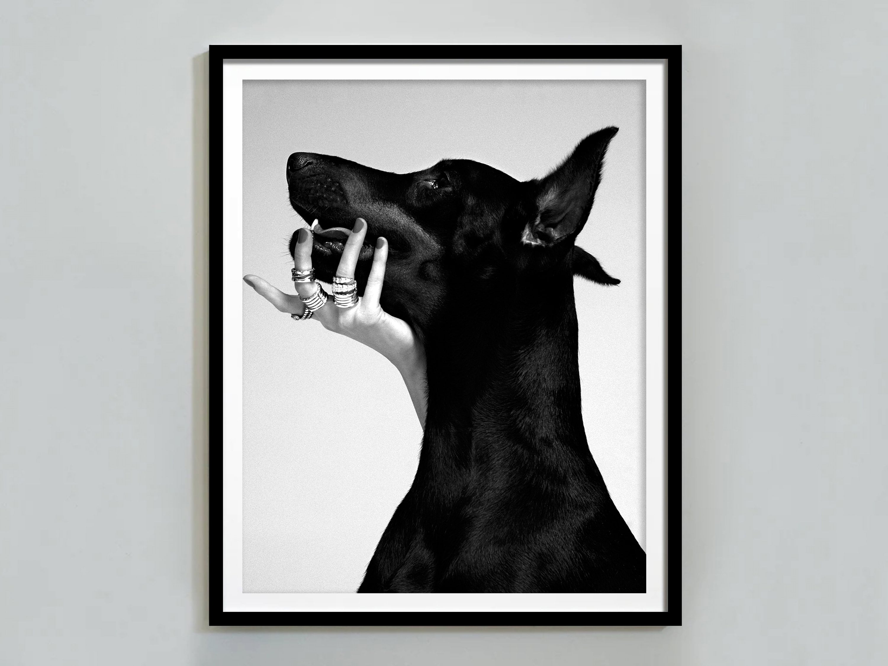 Schattige pluizige witte puppy hond zit: stockvector (rechtenvrij)  2675605807 | Shutterstock, image size:3000x2250