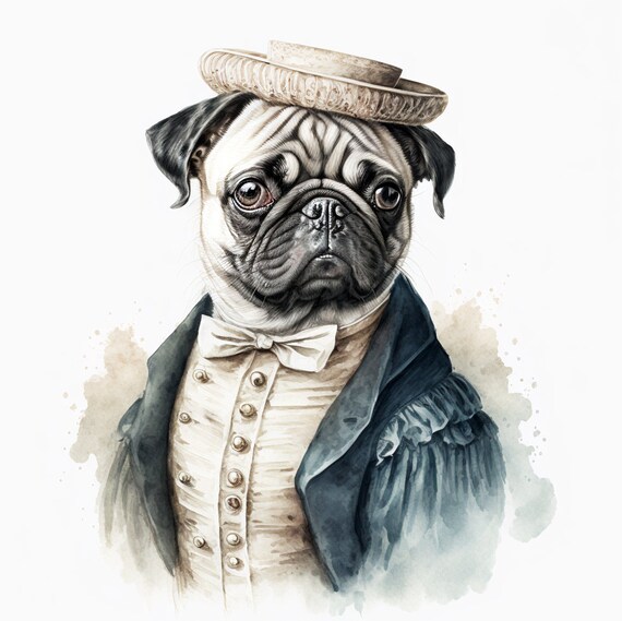 Dressed pug top